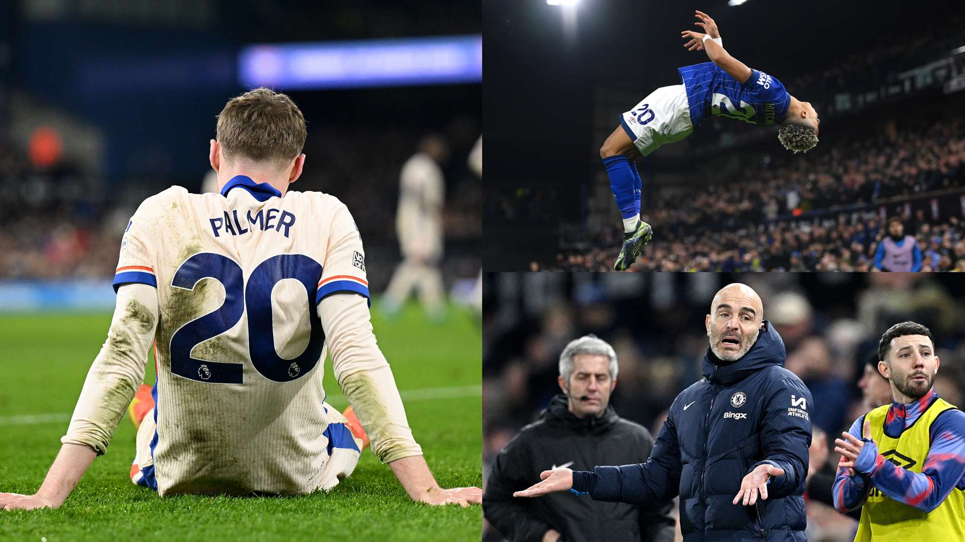 並擅長利用 並擅長利用